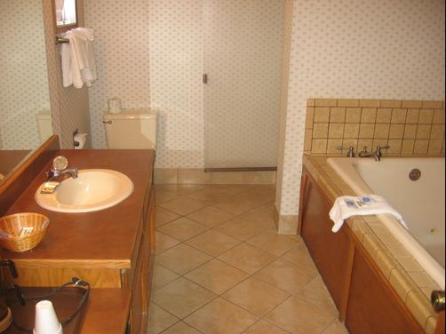 Econo Lodge - Medford - Baño