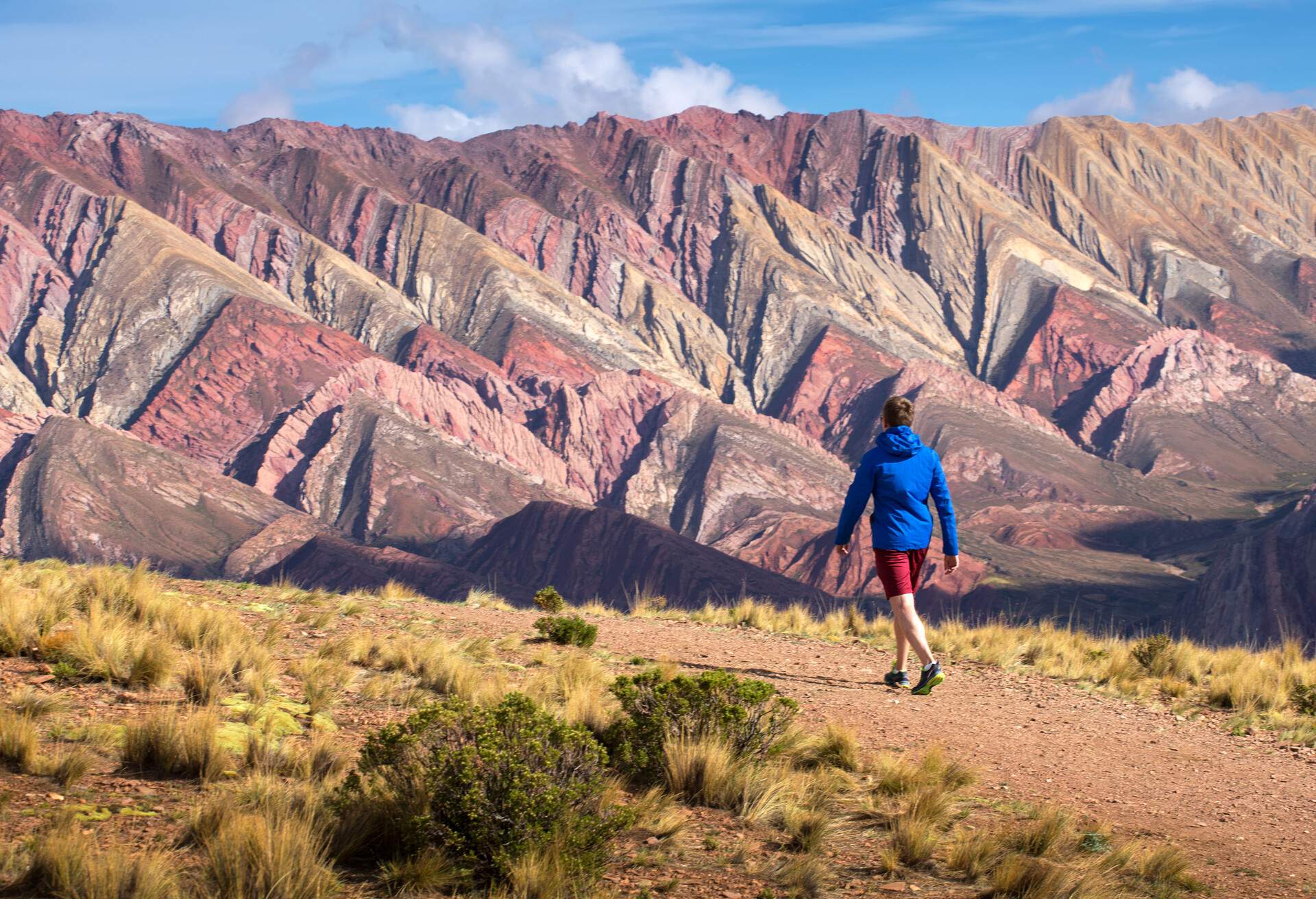 Hornocal, Mountain of fourteen colors, Humahuaca, Argentina; Shutterstock ID 596751950; Purpose: travel hacker; Brand (KAYAK, Momondo, Any): ANY