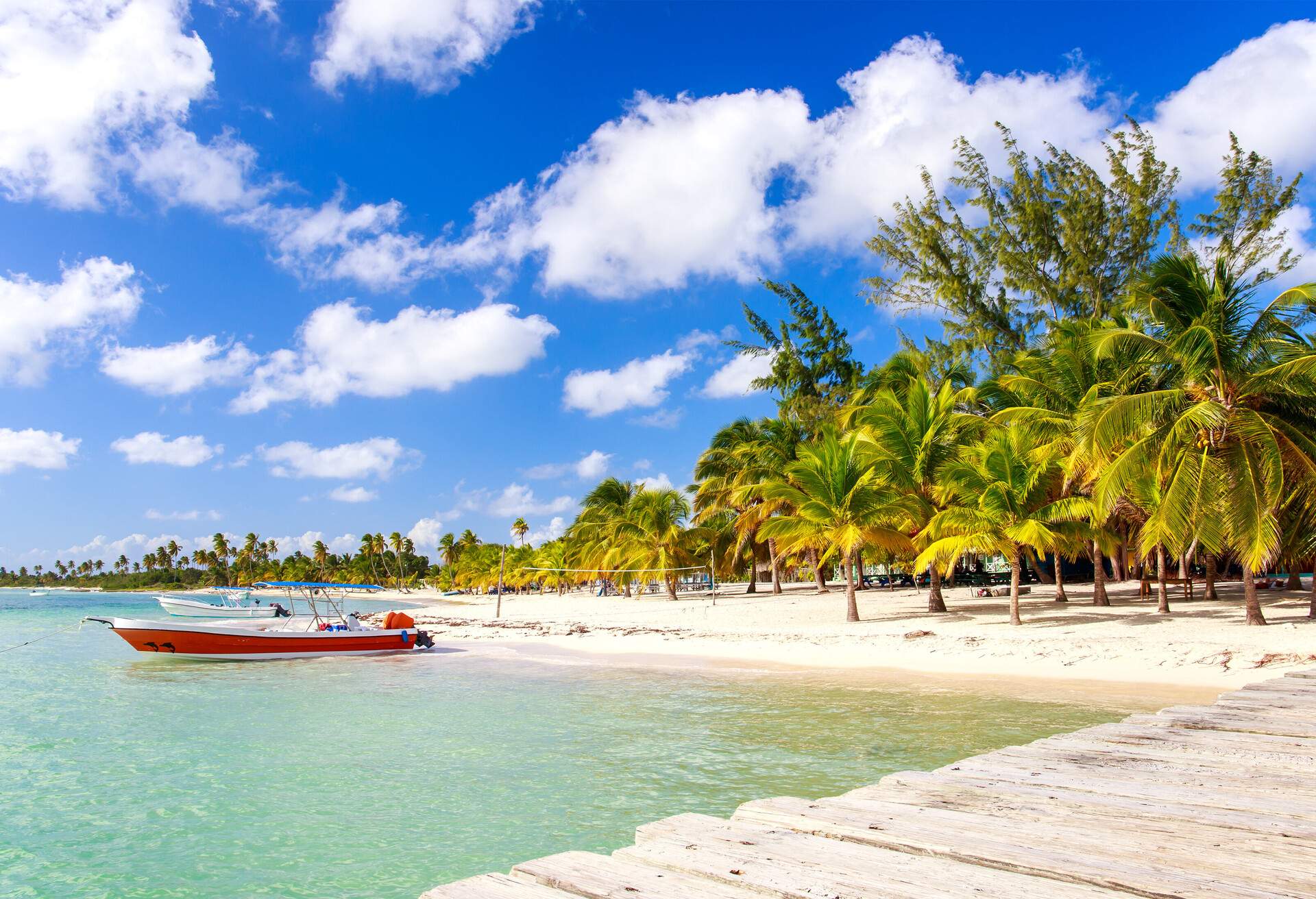 Beautiful caribbean beach on Saona island, Dominican Republic; Shutterstock ID 257887835