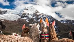 Hoteles en Cusco