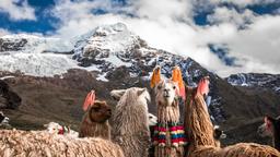 Albergues en Cusco
