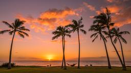 Busca vuelos baratos a Honolulu