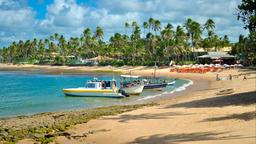 Directorio de hoteles en Praia do Forte