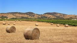 Alquileres vacacionales - Valle de Barossa