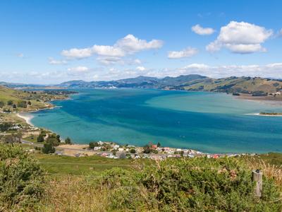 Dunedin
