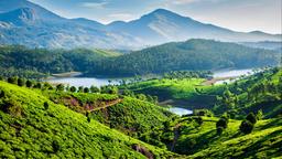 Hoteles en Munnar