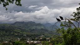 Busca vuelos baratos a Colombia