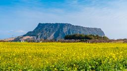 Hoteles cerca de Aeropuerto de Ciudad de Jeju