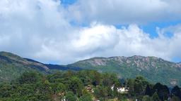 Hoteles en Monte Verde