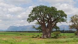 Hoteles en Hoedspruit