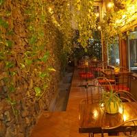 Hotel Casa del Arbol