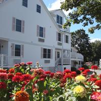 Pink Blossoms Resort