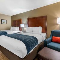 Comfort Inn Ocala Silver Springs