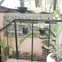 Nicaragua Guest House