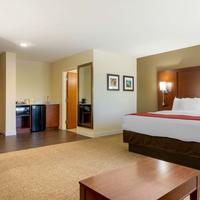 Comfort Inn and Suites Macon West
