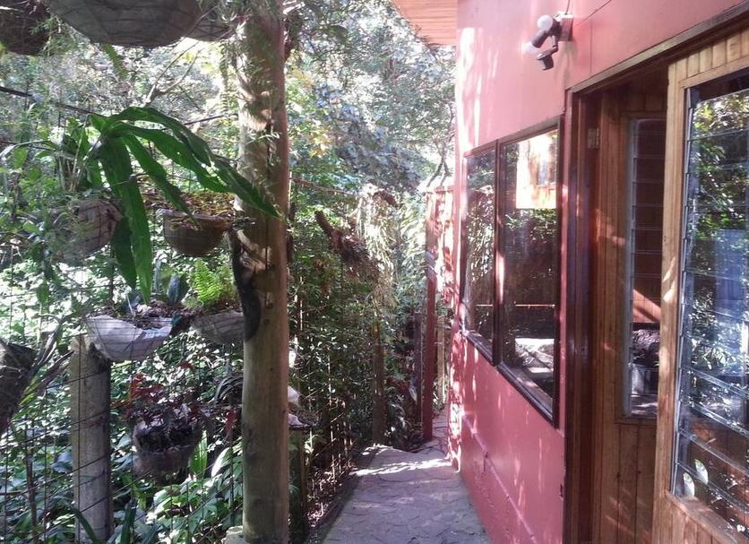 Vista del exterior Foto