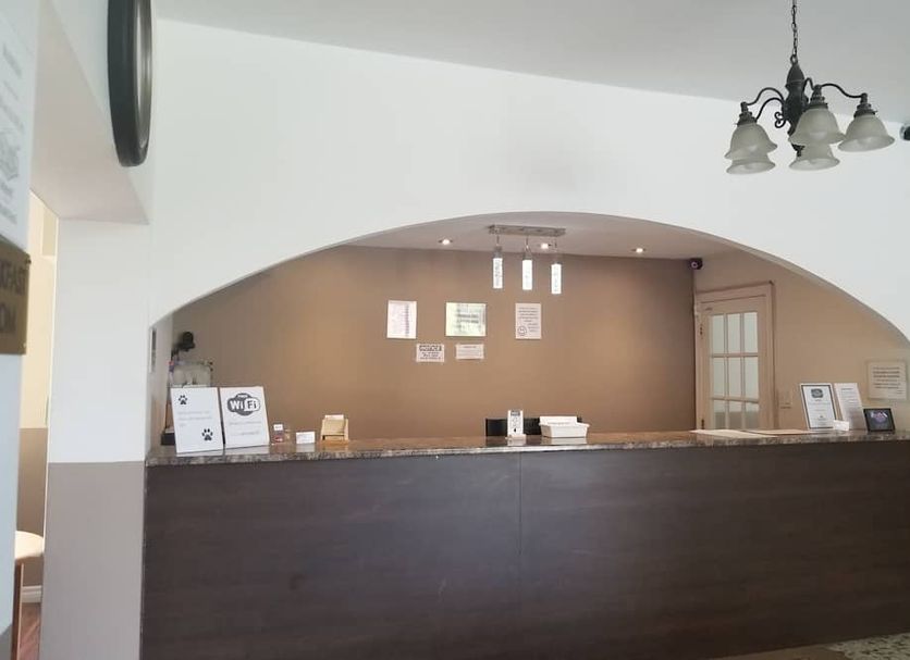 Recepción Foto