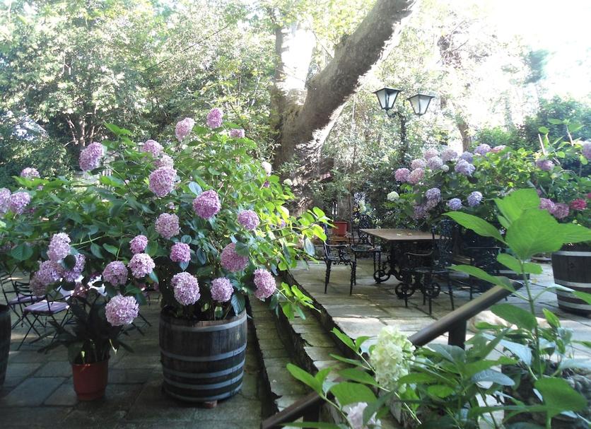 Patio Foto