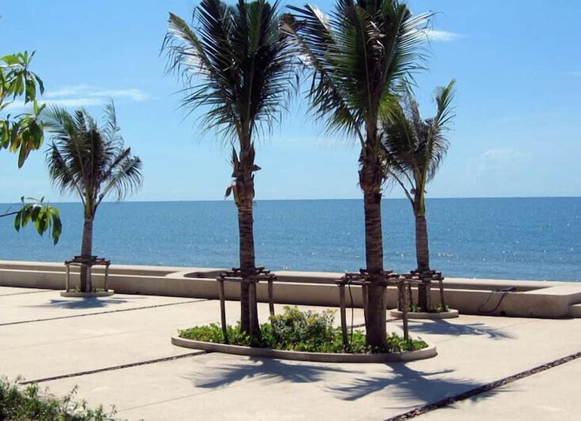 Playa Foto