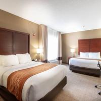 Comfort Inn & Suites Love Field-Dallas Market Center