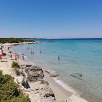 Tenuta Turchi