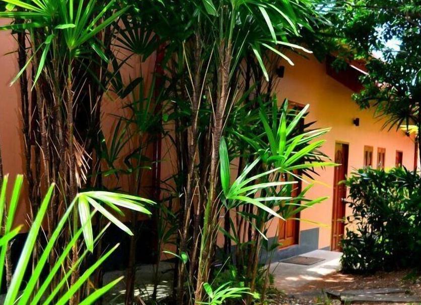 Vista del exterior Foto