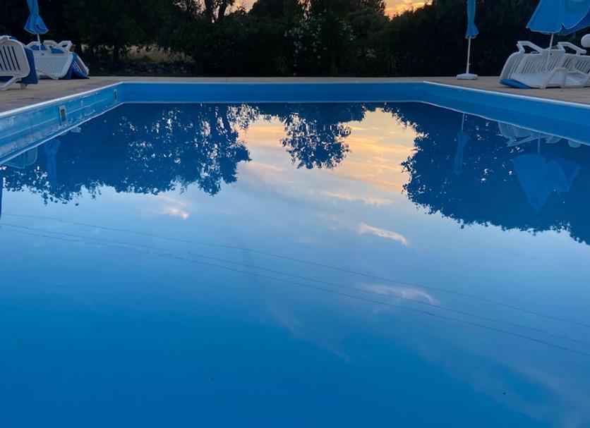 Pileta Foto