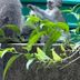 Otros