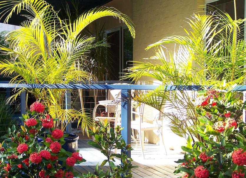 Vista del exterior Foto