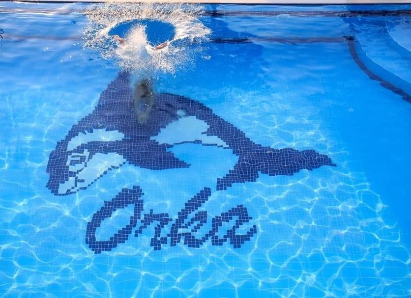 Otros Foto