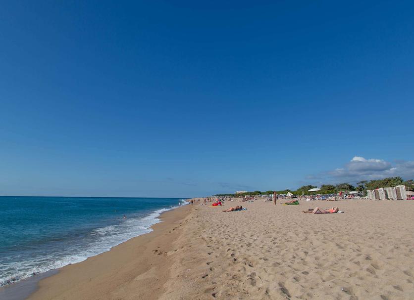 Playa Foto