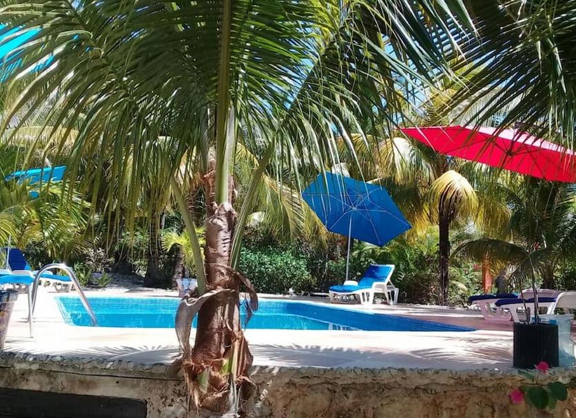 Pileta Foto