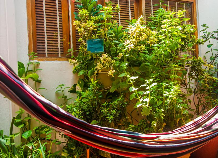 Patio Foto