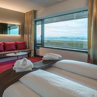 Airport Hotel Basel