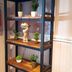 Decoración